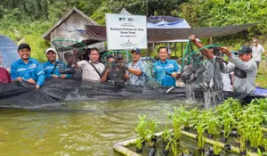 Pertumbuhan Ekonomi Kayong Utara Tembus 5,89 Persen, PSN Pulau Penebang Jadi Motor Utama, Kemiskinan Ikut Turun