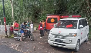 Operasi SAR Sungai Garahan Jember: PMI, Basarnas, dan Relawan Gabungan Fokus Cari Korban Hilang