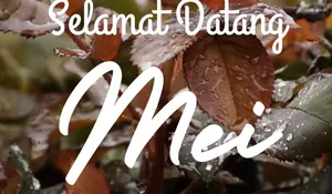 ‎10 Poster Selamat Datang Mei 2026, Gambar Terbaru dan Terbaik Versi Canva untuk Unggahan Media Sosial!
