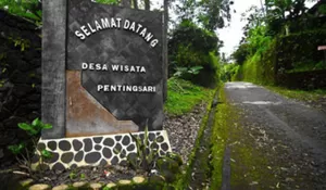Tersembunyi di Lereng Gunung Merapi, Desa Pentingsari Tawarkan Wisata Alam, Budaya, hingga Tur Lava yang Ramai Dicari