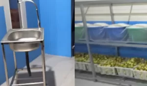 Terungkap Kondisi SPPG Sukabumi yang Viral karena Ulat di Makanan MBG, Wakil BGN Sebut Alurnya Amburadul