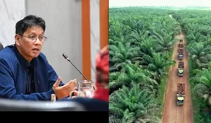 Heboh Dugaan Under Invoicing Ekspor RI, AI Temukan Selisih Harga Fantastis CPO dari Indonesia ke Amerika