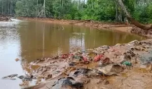 Dugaan Pencemaran di Halmahera Timur Belum Reda, Pemerintah Didesak Usut Kondisi Kali Kukuba dan Teluk Buli