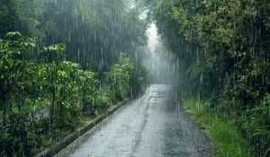 Alasan Bogor Disebut Kota Hujan dan Julukan Lainnya, Dikenal Sebagai Bumi Pajajaran yang Berkaitan dengan Kerajaan Sunda