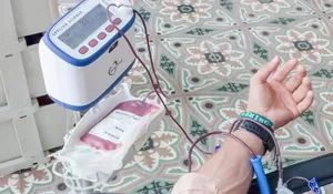 Siap Unggah! Deretan Pantun Peringatan Hari Donor Darah Sedunia 2026, Ajak Semua Mendonorkan Darah Secara Sehat