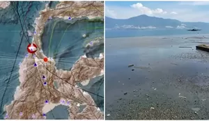 BMKG Sebut Gempa Palu Dipicu Sesar Aktif dengan Mekanisme Geser Turun, Penampakan Kondisi Pesisir saat Air Laut Surut Pasca Gempa Jadi Sorotan