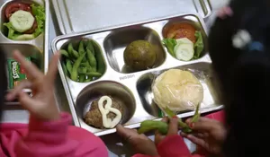 Pastikan Pemenuhan Gizi Maksimal di Lapangan, BGN Wajibkan Menu Daging Sapi Tiap Jumat di SPPG Jember