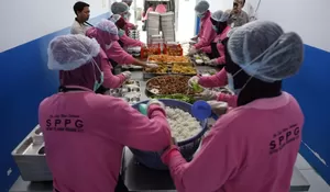 Berdayakan 100 Persen Warga Lokal, SPPG di Jombang Jember Prioritaskan Keluarga Berpenghasilan Rendah