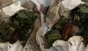 Jijik Banget! Orang Ini Terkejut Nemu Hewan di Dalam Nasi Padang yang Dibeli Secara Online, Lintah?
