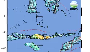Bukan Megathrust, Ini Penjelasan BMKG Terkait Gempa NTT 7,7 SR, Pelepasan Energi Besar di Patahan Busur Belakang Flores Picu Terjadinya Tsunami