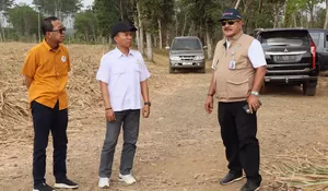 Kualitas Tebu PP Kahyangan Jember Tuai Pujian Disbun Jatim, Rendemen Tembus di Atas 7 Persen