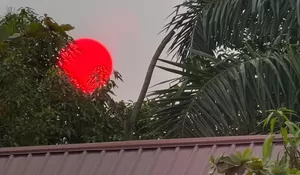 Bikin Merinding! Penampakan Matahari Merah Pekat di Palangka Raya, Benarkah Dampak dari Kebakaran Hutan di Kalimantan? Begini Penjelasan BMKG