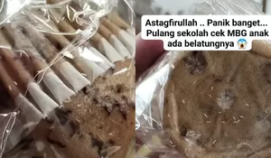 Roti MBG Dikerubungi Belatung Hidup di Pecangaan Jepara, Orang Tua Siswa Ungkap Guru Langsung Komplain ke SPPG