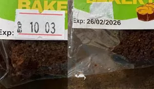 Viral Brownies Panggang MBG di Jogja Diduga Kedaluwarsa, Stiker 'Exp’ Diganti Tanggal Baru