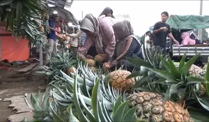 Libur Lebaran Untungkan UMKM, Timus Goreng Karanganyar hingga Nanas Subang Diburu Pemudik