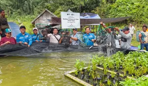 Kabupaten Kayong Utara Tunjukkan Tren Positif Pertumbuhan Ekonomi, PSN di Pulau Penebang jadi Motor Penggerak Perekonomian
