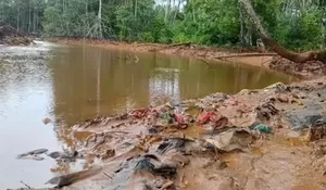WALHI hingga Akademisi Soroti Pencemaran Teluk Buli, Pemerintah Diminta Audit Aktivitas PT Feni Haltim