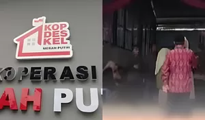 Belum Resmi Beroperasi, Gedung Kopdes di Pacitan Mendadak Viral usai Dipakai Warga untuk Resepsi Pernikahan