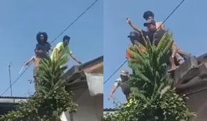 Kronologi Skandal Pemerkosaan terhadap Anak Kelas 4 SD di Cakung Jaktim, Bermula saat Ibu Korban Pulang