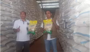 Bulog Optimalkan Penyerapan Gabah, Stok Beras di Klaten Melimpah dan Dipastikan Aman hingga 2027