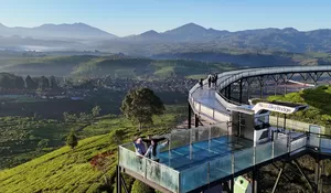 5 Kebun Teh Ini Wajib Masuk List Kunjungan Kalau Liburan ke Bandung, Salah Satunya jadi Spot Sunrise Terbaik