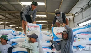 Berkat Transformasi Danantara, Laba Pupuk Indonesia Tembus Rp8,51 Triliun di Semester I 2026
