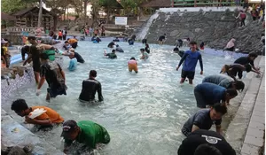 Keseruan Lomba Tangkap Ikan Lele di Umbul Siblarak Klaten untuk Semarakan Peringatan Kemerdekaan Indonesia