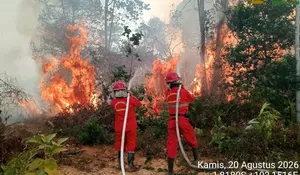 6 Provinsi di Kalimantan dan Sumatera Jadi Prioritas Penanganan Karhutla, Operasi Darat Jadi Ujung Tombak