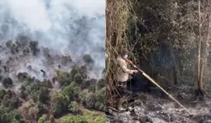 Telisik Kasus Karhutla yang Landa Riau, Picu Dugaan Kesengajaan Oknum untuk Buka Lahan Hortikultura