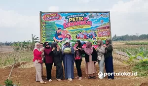 Agrowisata Petik Semangka Gegempalan Ciamis, Pengunjung Bisa Panen Langsung dari Kebun