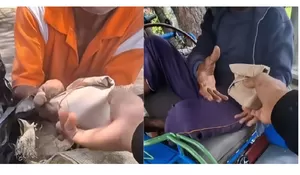 Tuai Pujian! Aksi Siswa SMKN 1 Ngasem Kediri Bagikan MBG ke Tukang Becak dan Pedagang