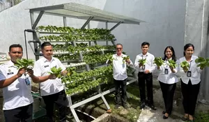 Panen Pokcoy, Bukti Nyata Keberhasilan Pembinaan Kemandirian di Lapas Gunungsitoli