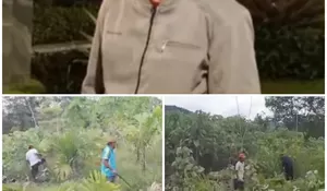 Penyerobotan Lahan dan Pengerusakan Tanaman Warga Desa Aramo,Pemilik Lahan Segera melaporkan Kepolres Nias Selatan