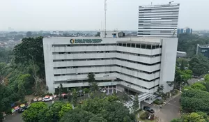 Fokus Stabilkan Harga dan Pasokan, Bapanas Aktif Kelola Pangan Sejak 2022