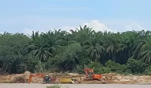 Diminta Jajaran  Polres Rokan Hulu Tangkap Pemilik Tambang Galian C Beroperasi Diduga Ilegal Di Daerah Aliran Sungai