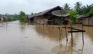 Dugaan Mega Skandal Bantuan Banjir Padangsidimpuan: 1.133 KK Jadi Korban Ketidakterbukaan Anggaran Pusat dan Daerah