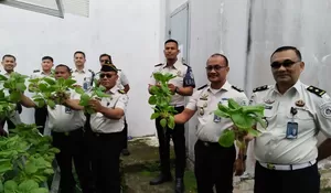 Panen Raya Pokcoy Hidroponik, Bukti Nyata Keberhasilan Pembinaan Kemandirian di Lapas Gunungsitoli