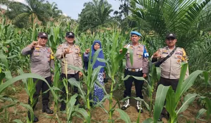 Polres Rokan Hulu Terus Mendorong Peran Aktif Jajarannya Mendukung Program Ketahanan Pangan Nasional