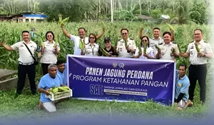 Panen Jagung Perdana, Lapas Tahuna Lanjutkan Program Ketahanan Pangan