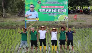 Lapas Rantauprapat Gelar Penanaman Bibit Padi, Perkuat Ketahanan Pangan dan Pelatihan Kemandirian WBP