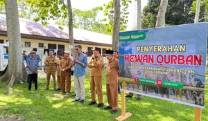 PT IKPP Perawang Salurkan 12 Ekor Sapi, Sambut Hari Raya Idul Adha, Untuk Masyarakat di Wilayah Operasional Perusahaan