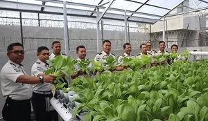 Optimalkan Pembinaan Kemandirian, Lapas Muara Teweh Gelar Panen Raya Pakcoy dan Selada Hidroponik