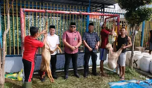 Idul Adha 1447 H, Rutan Sidikalang Salurkan Daging Kurban kepada 434 Warga Binaan