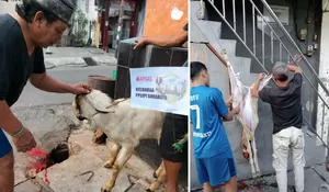 Tak Sekadar Organisasi Perempuan, PPLIPI Surabaya Hadirkan Harapan Lewat Kurban Iduladha