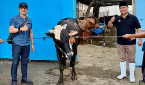 PAM Surya Sembada Gandeng RPH Pegirian, Pastikan Daging Kurban ASUH
