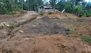 Masa Depan Ekonomi Desa Tersandera Pena Kades, Pemilik Lahan Ambil Langkah Berani!