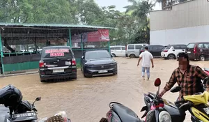 Batam Dikepung Air: Alam Menjerit, Warga Tuding Proyek Reklamasi Jadi Biang Kerok!