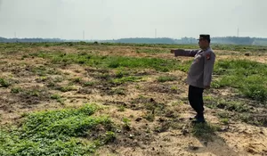 Pengecekan Lahan PT SIR untuk Penanaman Jagung Kuartal II Tahun 2026, Wujud Dukungan Ketahanan Pangan di Kecamatan Tualang
