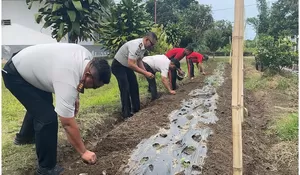 Wujudkan Ketahanan Pangan, Rutan Sidikalang Manfaatkan Lahan SAE untuk Budidaya Bawang Merah