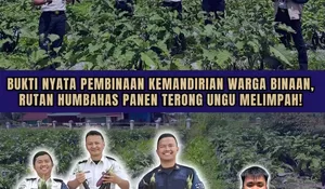 Bukti Nyata Pembinaan Kemandirian Warga Binaan, Rutan Humbahas Panen Terong Ungu Melimpah